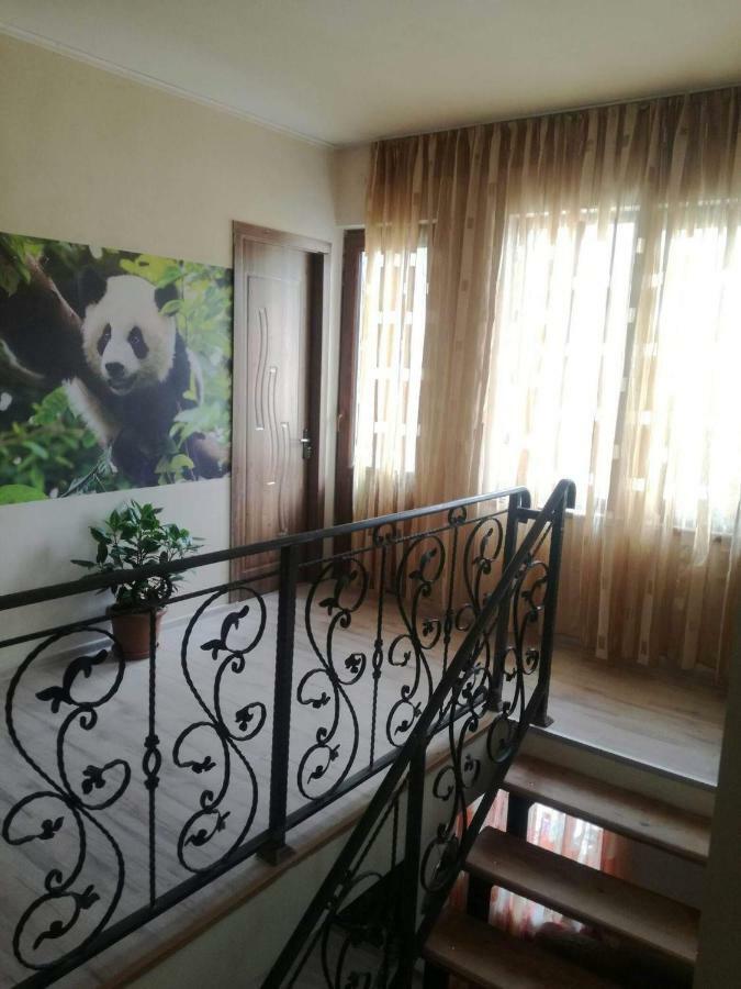 Готель Happy Pandasn12 Боржомі Екстер'єр фото